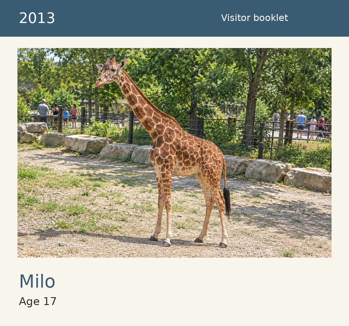 Milo, age 17, in the 2013 visitor brochure.