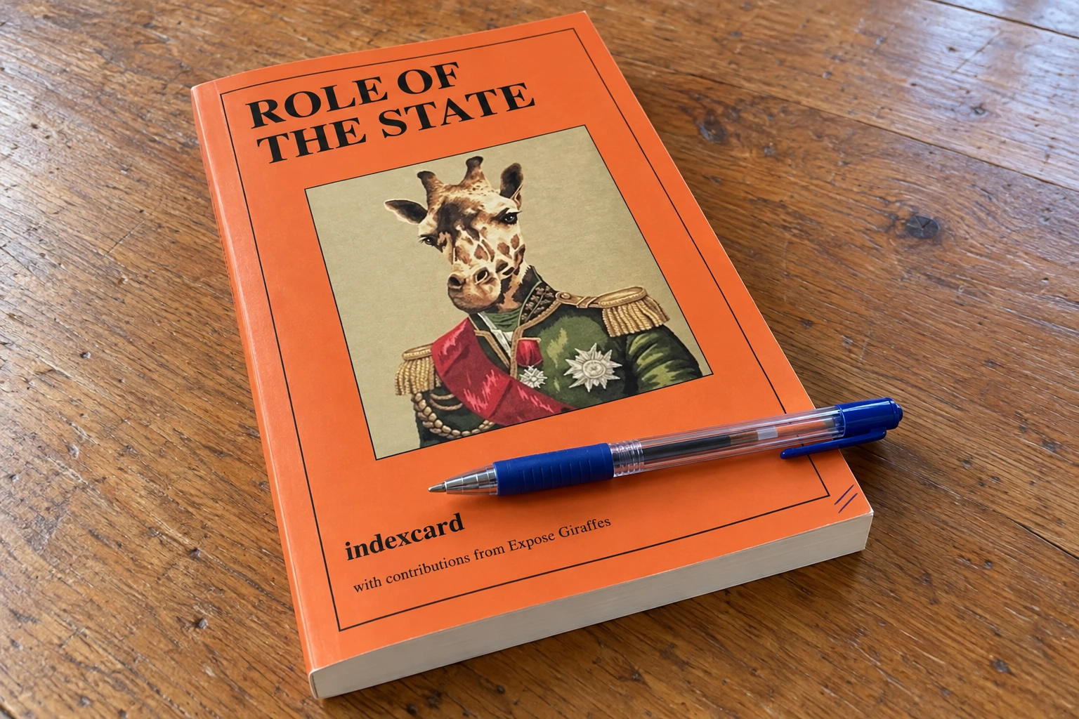 A closed Role of the State paperback with a ballpoint pen and two small outer marks.
